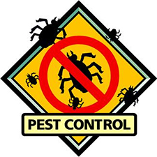 Pest Control in Forest Park/ Pest Control Forest Park Illinois