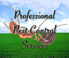 Pest Control in Lemont/ Pest Control Lemont Illinois