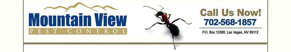 Pest Control in HENDERSON Nevada: Pest Control HENDERSON Nevada