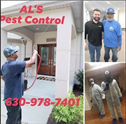 Pest Control in Bellwood/ Pest Control Bellwood Illinois