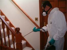 Pest Control in Forest Park/ Pest Control Forest Park Illinois