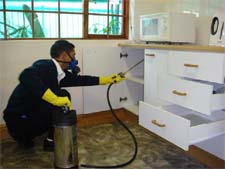 Pest Control in Forest Park/ Pest Control Forest Park Illinois