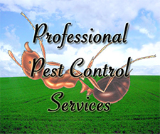 Pest Control in Forest Park/ Pest Control Forest Park Illinois