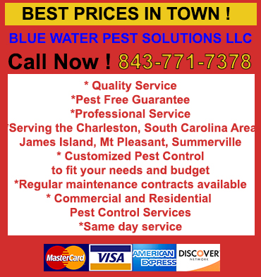 GREEN MOSQUITO Control in CHARLESTON/ GREEN MOSQUITO Control CHARLESTON South Carolina