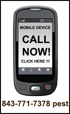 Pest Control in James Island/ Pest Control James Island South Carolina