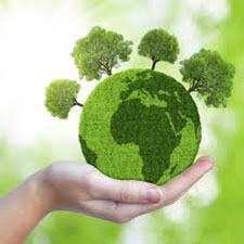 Pest Control in North Charleston/ Pest Control North Charleston South Carolina