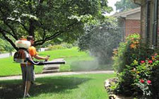 Pest Control in North Charleston/ Pest Control North Charleston South Carolina
