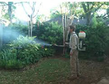 Pest Control in North Charleston/ Pest Control North Charleston South Carolina