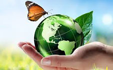 Pest Control in Summerville/ Pest Control Summerville South Carolina