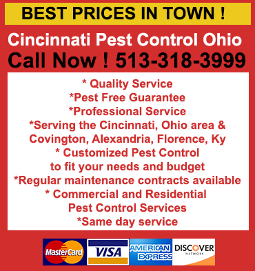 CUSTOM HARDWOOD FLOORING IN ROSEVILLE / CUSTOM HARDWOOD FLOORING ROSEVILLE CALIFORNIA