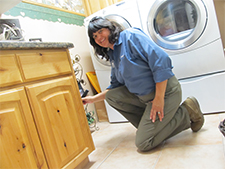 Pest Control in Northlake / Pest Control Northlake Illinois