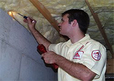 Pest Control in Bolingbrook / Pest Control Bolingbrook Illinois