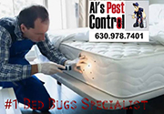 Pest Control in Lisle / Pest Control Lisle Illinois
