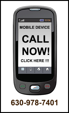 Pest Control in Lisle / Pest Control Lisle Illinois