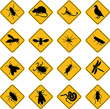 Pest Control in MASON : Pest Control MASON Ohio