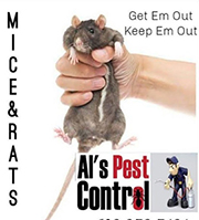 Pest Control in Oak Brook/ Pest Control Oak Brook Illinois