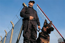 Security Guards in Danville / Security Guards Danville California / San Francisco Security Guards California