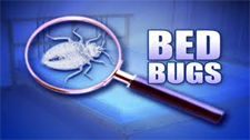 Kill Bed Bugs in Silver Spring/ Kill Bed Bugs Silver Spring, Maryland