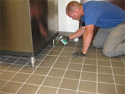 Roach Control in Springfield/ Roach Control Springfield, Virginia