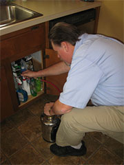 Roach Control in Springfield/ Roach Control Springfield, Virginia