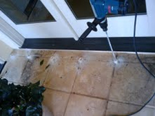 Termite Control in Annapolis/ Termite Control Annapolis, Maryland