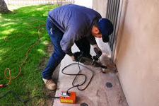 Termite Control in Annapolis/ Termite Control Annapolis, Maryland