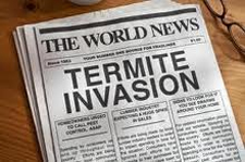 Termite Control in Annapolis/ Termite Control Annapolis, Maryland
