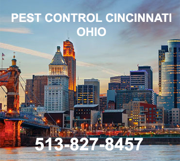 Bed Bugs Heat Treatment in Cincinnati/ Bed Bugs Heat Treatment Cincinnati, Ohio