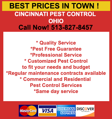 Bed Bugs Heat Treatment in Cincinnati/ Bed Bugs Heat Treatment Cincinnati, Ohio