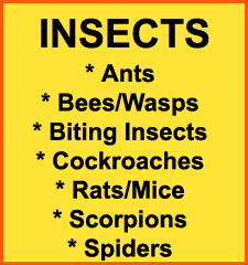 Exterminator in NORTH LAS VEGAS: Exterminator NORTH LAS VEGAS Nevada