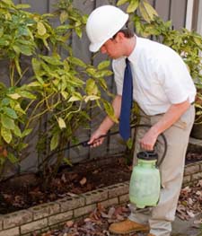 Exterminator in NORTH LAS VEGAS: Exterminator NORTH LAS VEGAS Nevada