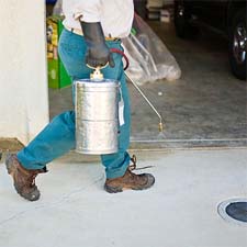 Exterminator in NORTH LAS VEGAS: Exterminator NORTH LAS VEGAS Nevada