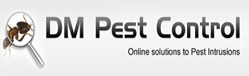 Termite Control Round Rock