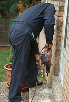 Termite Control Round Rock