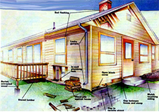 Termite Control Round Rock