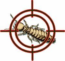 Termite Control Round Rock