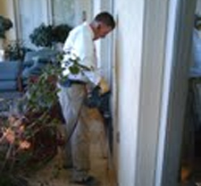 Termite Control in BEE CAVE / Termite Control BEE CAVE Texas