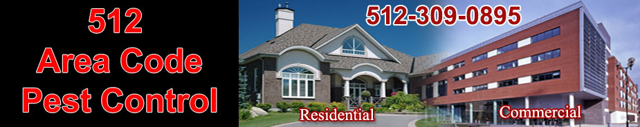 Termite Control in BEE CAVE / Termite Control BEE CAVE Texas