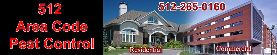 Termite Control in WILLIAMSON COUNTY / Termite Control WILLIAMSON COUNTY Texas